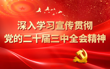 深入学习宣传贯彻党的二十届三中全会精神